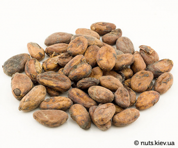 Какао-бобы сырые неочищенные